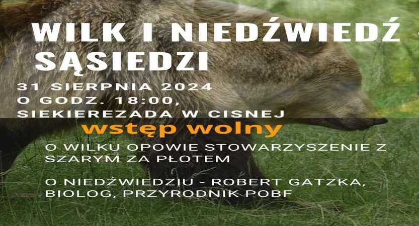 Wilk i niedźwiedź- sąsiedzi